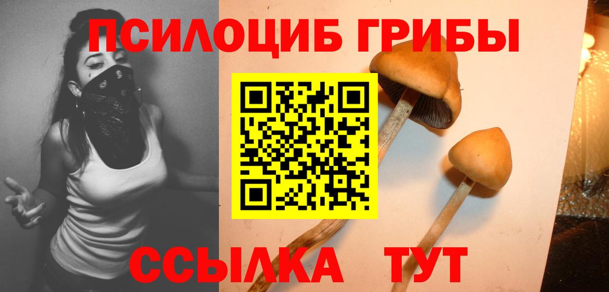 Псилоцибиновые грибы мицелий  Вход с VPN  Псилоцибиновые грибы GOLDEN TEACHER  Азов 